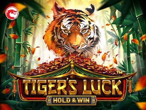 Tiger's Luck - Hold and Win cover image